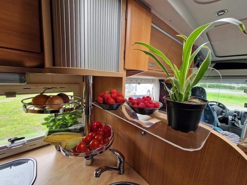 CHALLENGER EDEN 614 - photo 13