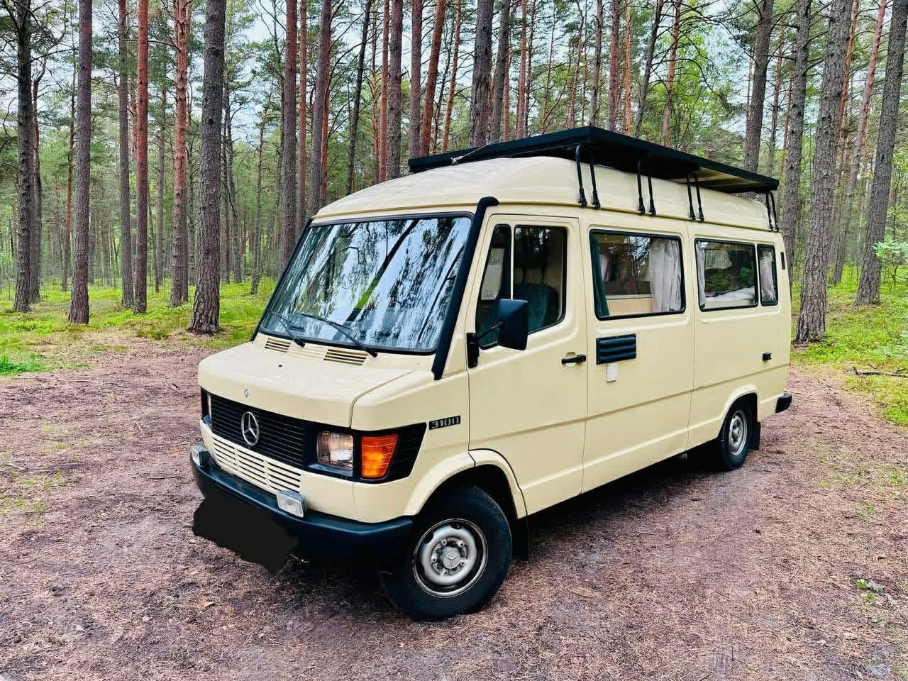 MERCEDES-BENZ L310D - photo 20